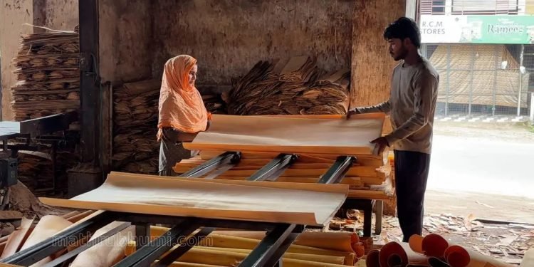 അ‌തിഥി തൊഴിലാളികൾ തിരിച്ചെത്തുന്നില്ല, പെരുമ്പാവൂരിൽ സംഭവിക്കുന്നതെന്ത്?