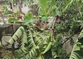 പ്രകൃതിക്ഷോഭം: കൃഷി വകുപ്പ് ജില്ലാതല കൺട്രോൾ റൂമുകൾ തുറന്നു