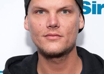 Avicii Tribute Concert The nights