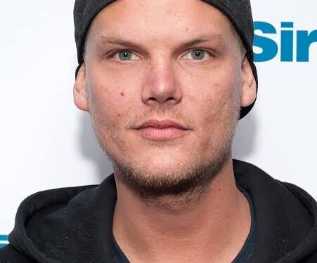 Avicii Tribute Concert The nights