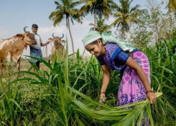 ക്ഷീര വികസന വകുപ്പ് വാർഷിക പദ്ധതിക്ക് ഓൺലൈനായി അപേക്ഷ ക്ഷണിച്ചു