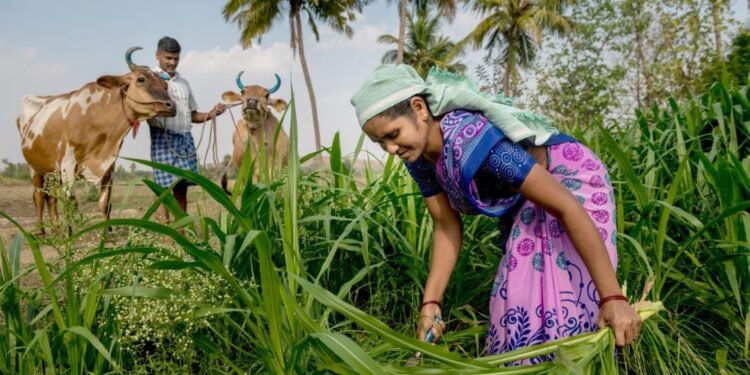ക്ഷീര വികസന വകുപ്പ് വാർഷിക പദ്ധതിക്ക് ഓൺലൈനായി അപേക്ഷ ക്ഷണിച്ചു